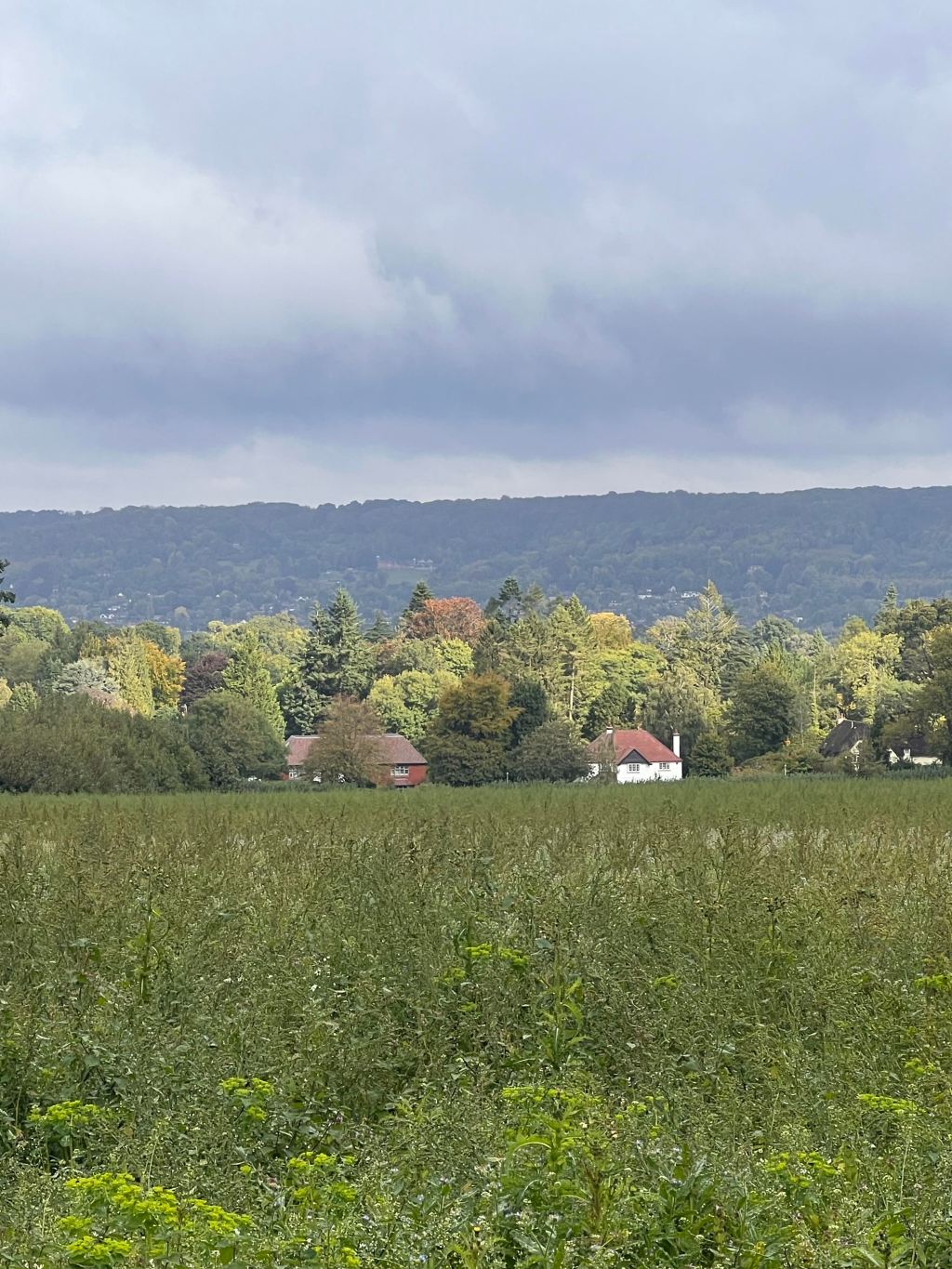 诺尔庄园的秋天：历史与自然的完美结合