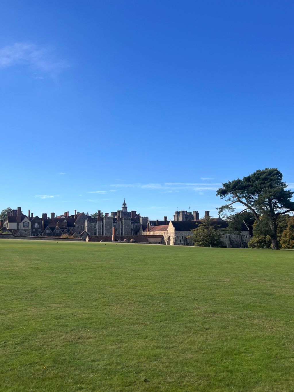 七橡树和七颗橡树