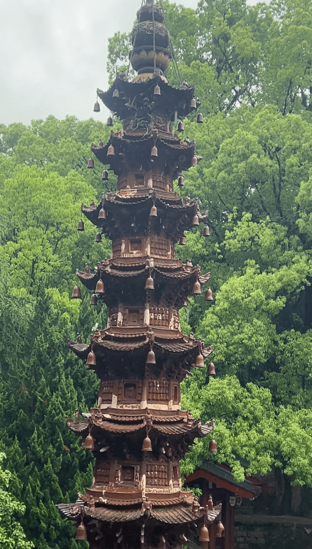 人生需要很多样子